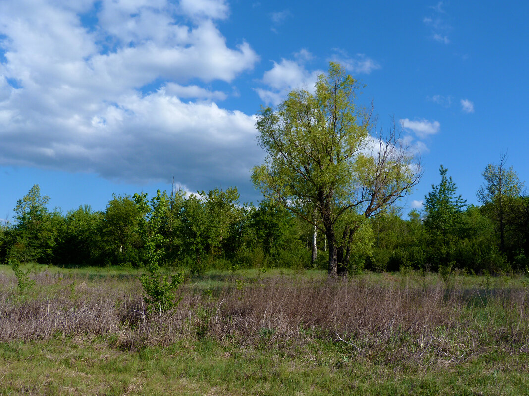 Пейзажи Крыма - Валентин Семчишин