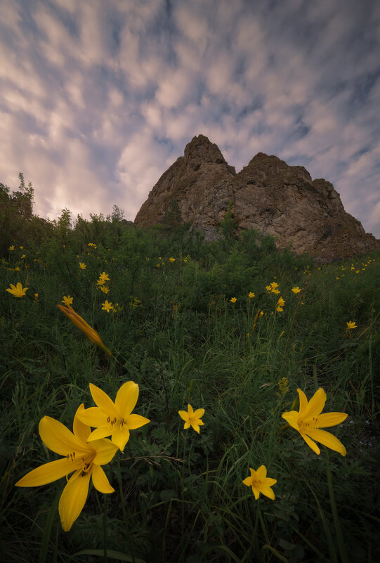 * - Александр Иванов