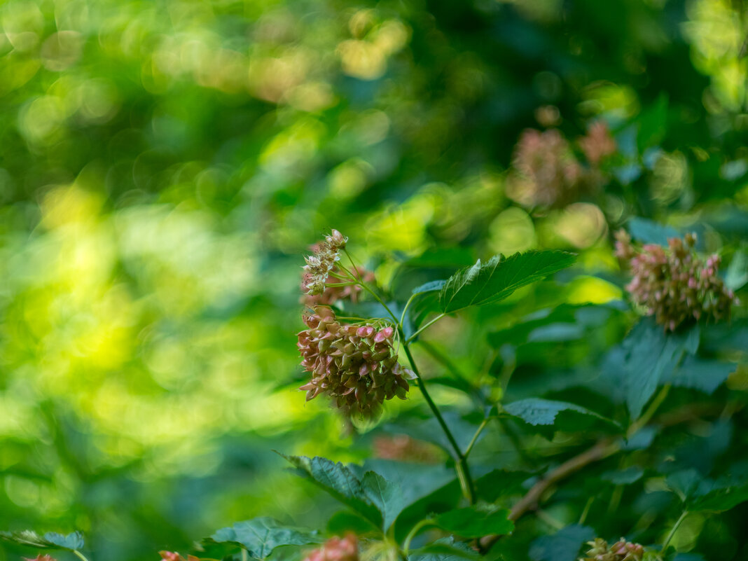 ___ - Yuriy V ___ - Yuriy V