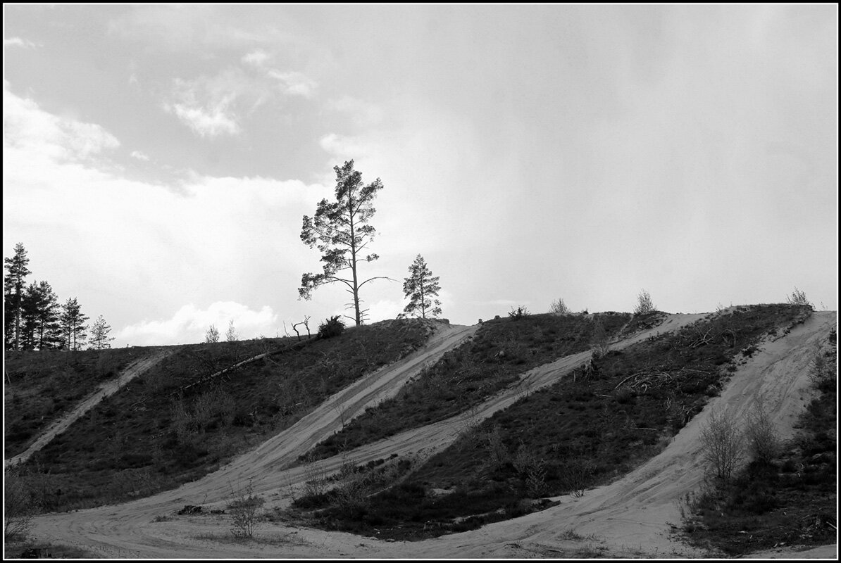 ...просто бизнес... - Aleksandr Gal