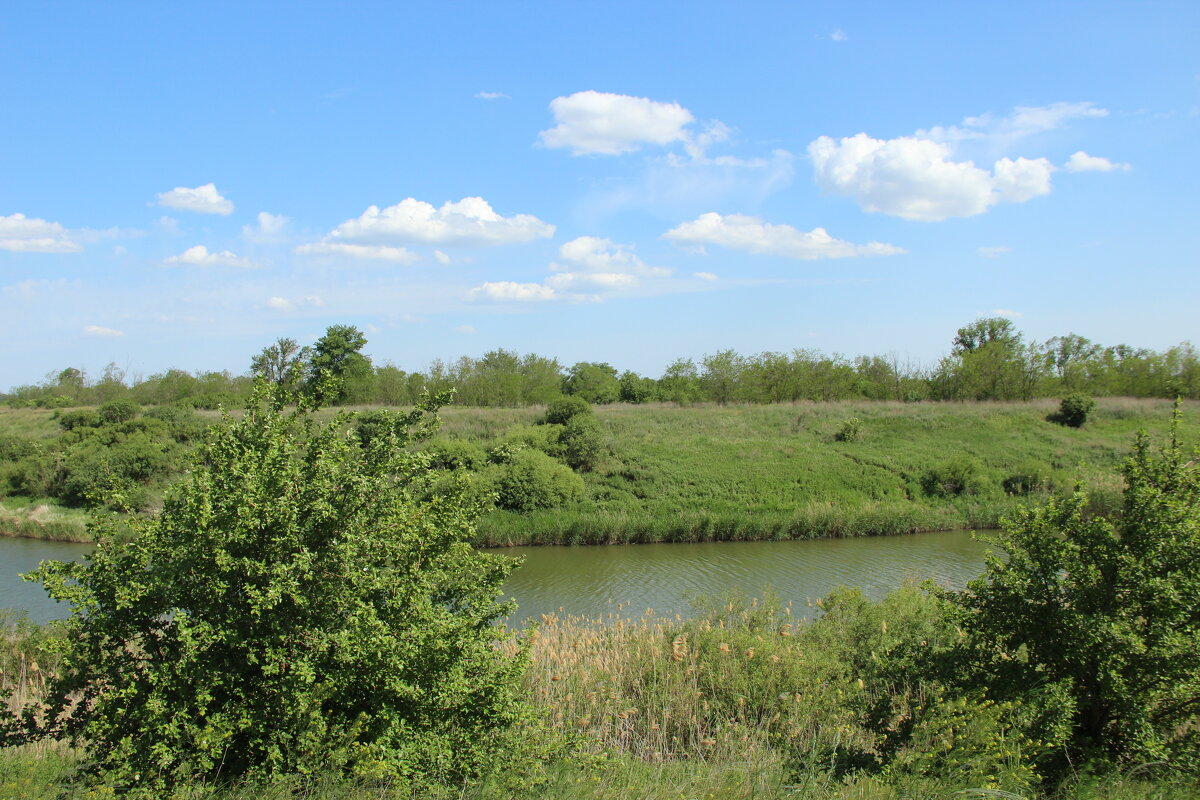 У реки - Виктор 