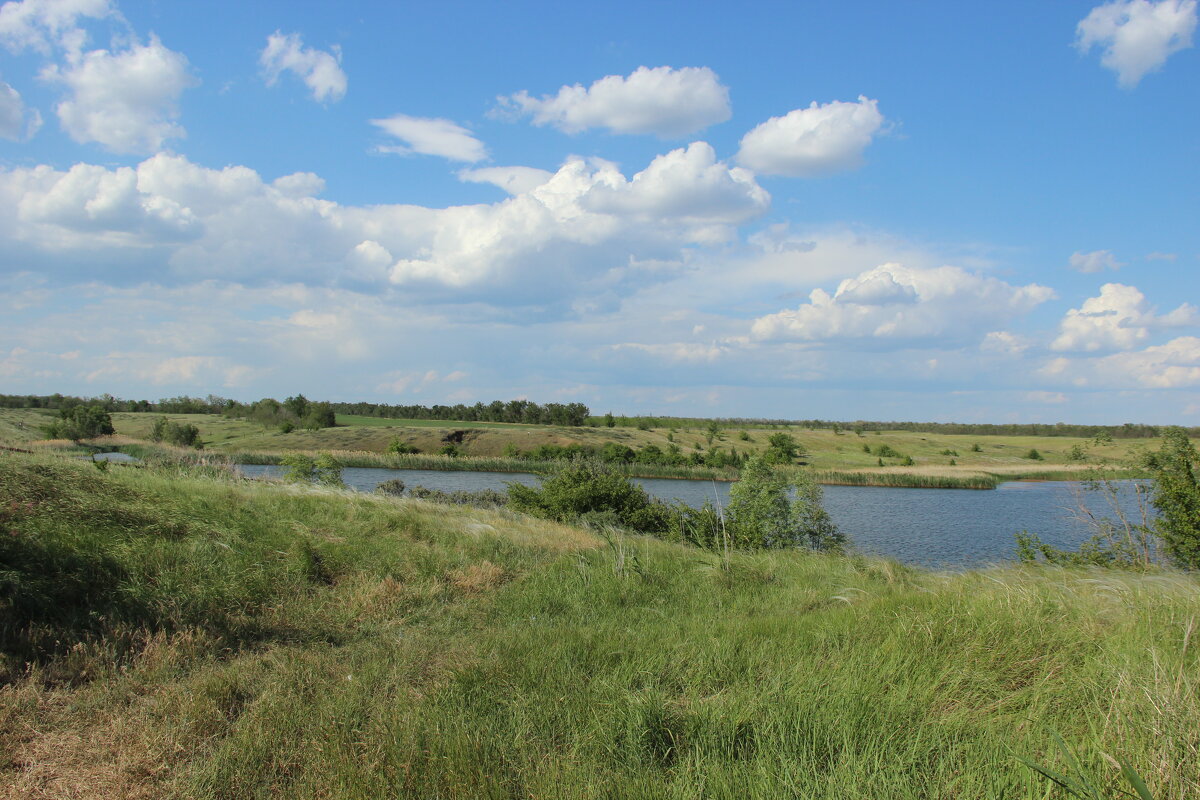 Пруд в степи. - Виктор 