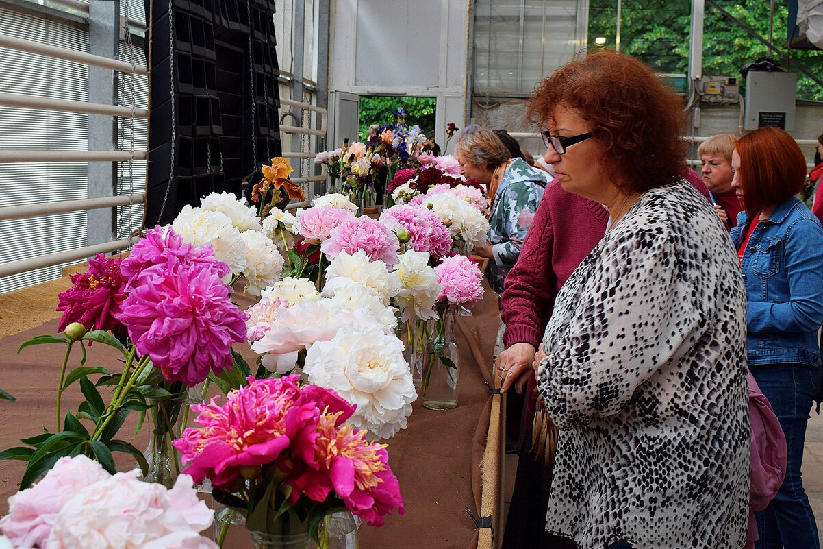 На выставке "Фестиваль пионов и ирисов" - Татьяна Помогалова На выставке "Фестиваль пионов и ирисов" - Татьяна Помогалова