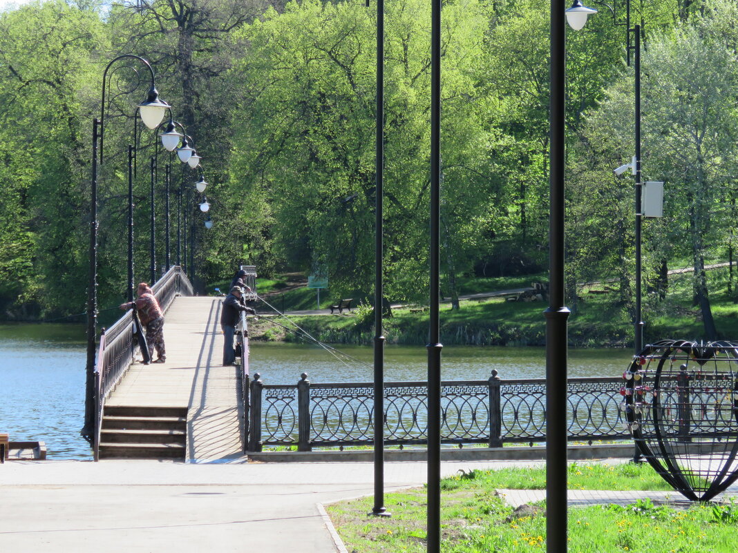 Утро в парке Богородицка - ИРЭН@ .