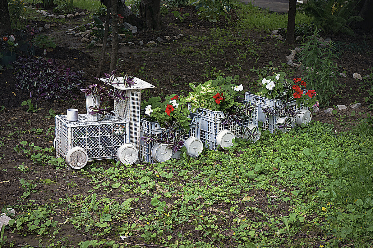Цветочный поезд - Владимир Кроливец