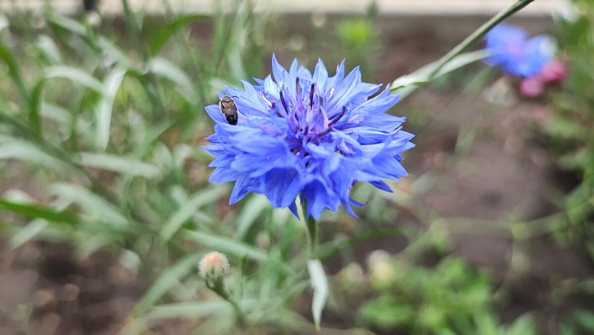 ,,, - Сергей Тимоновский