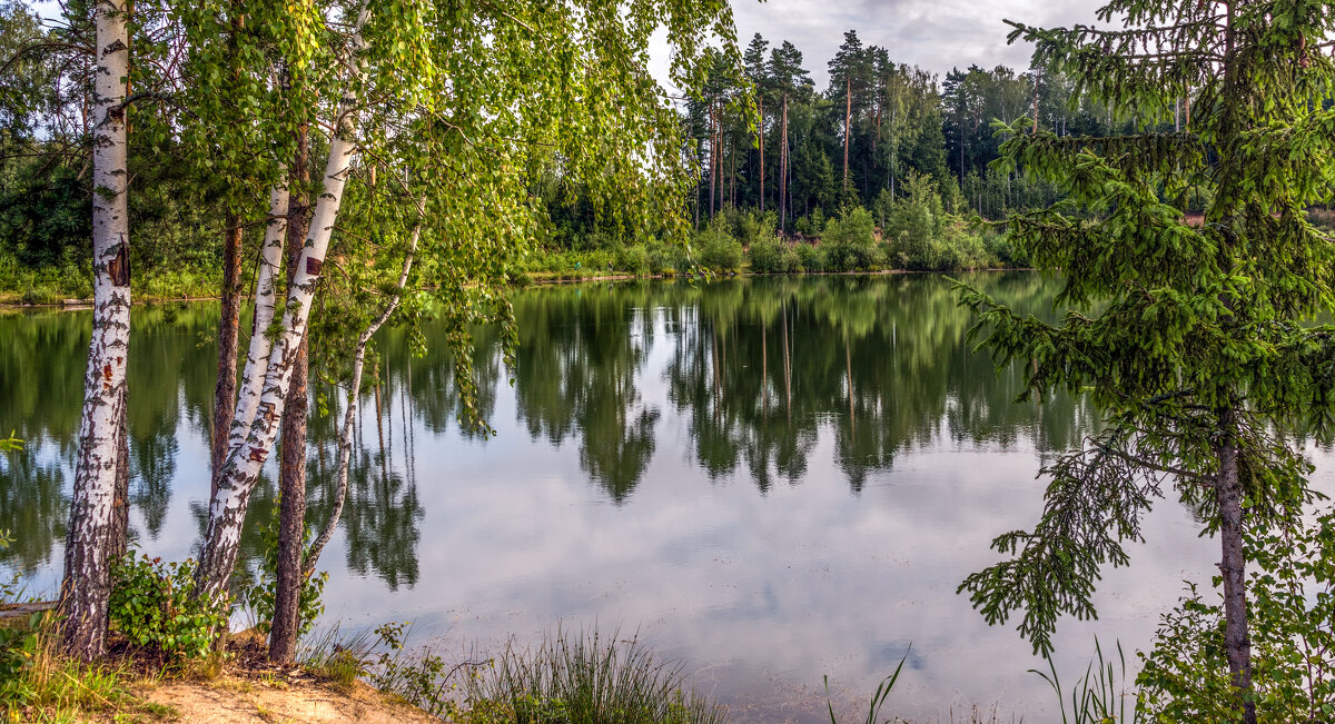 *** - Владимир Безбородов