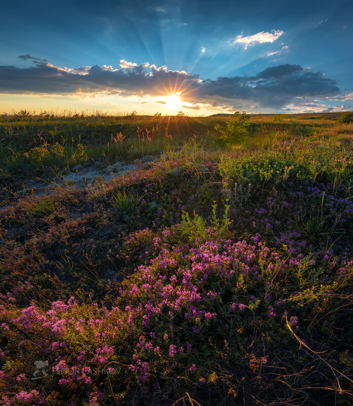 Запах степи на закате - Фёдор. Лашков