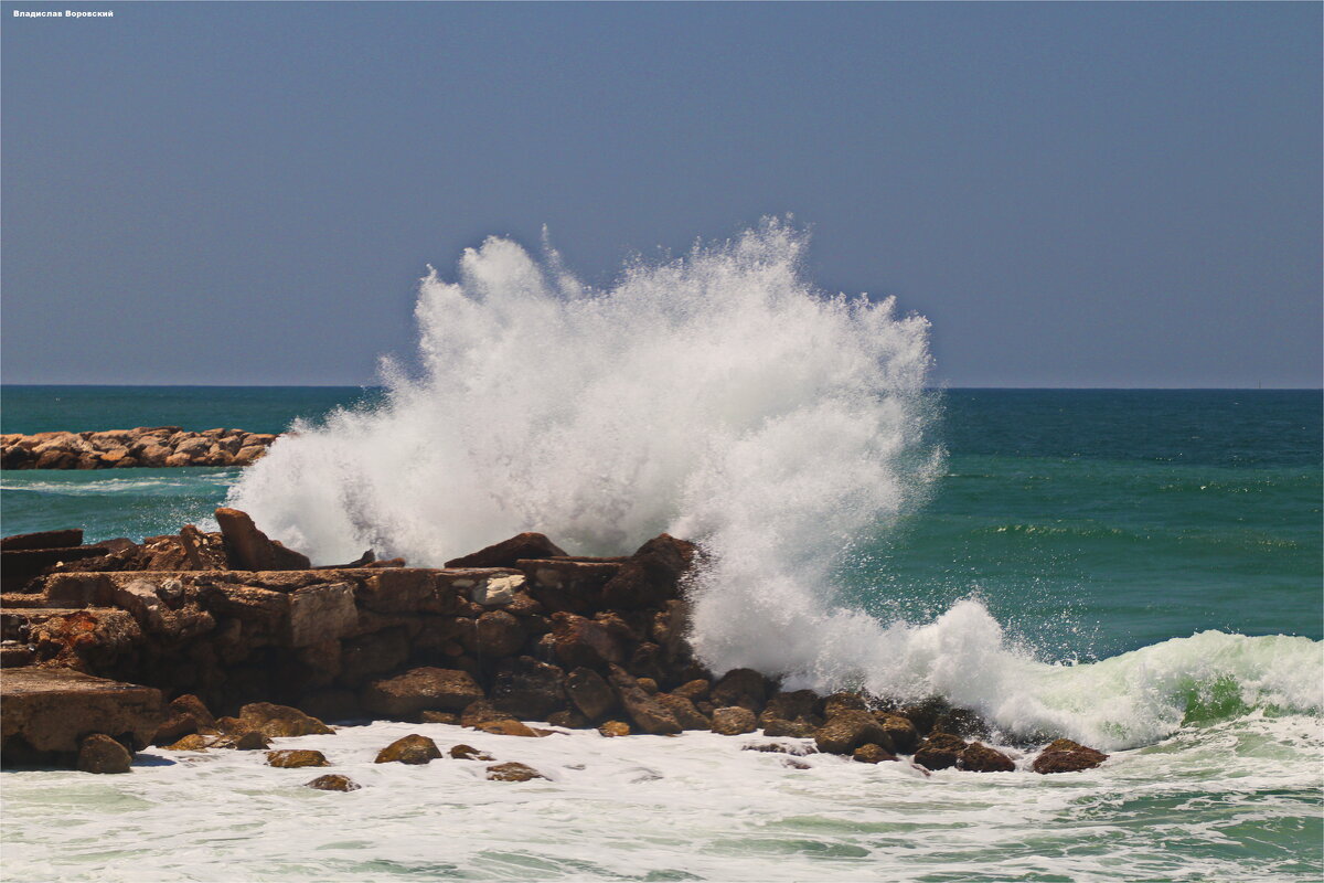 Хайфа 2025 - Владислав Воровский 