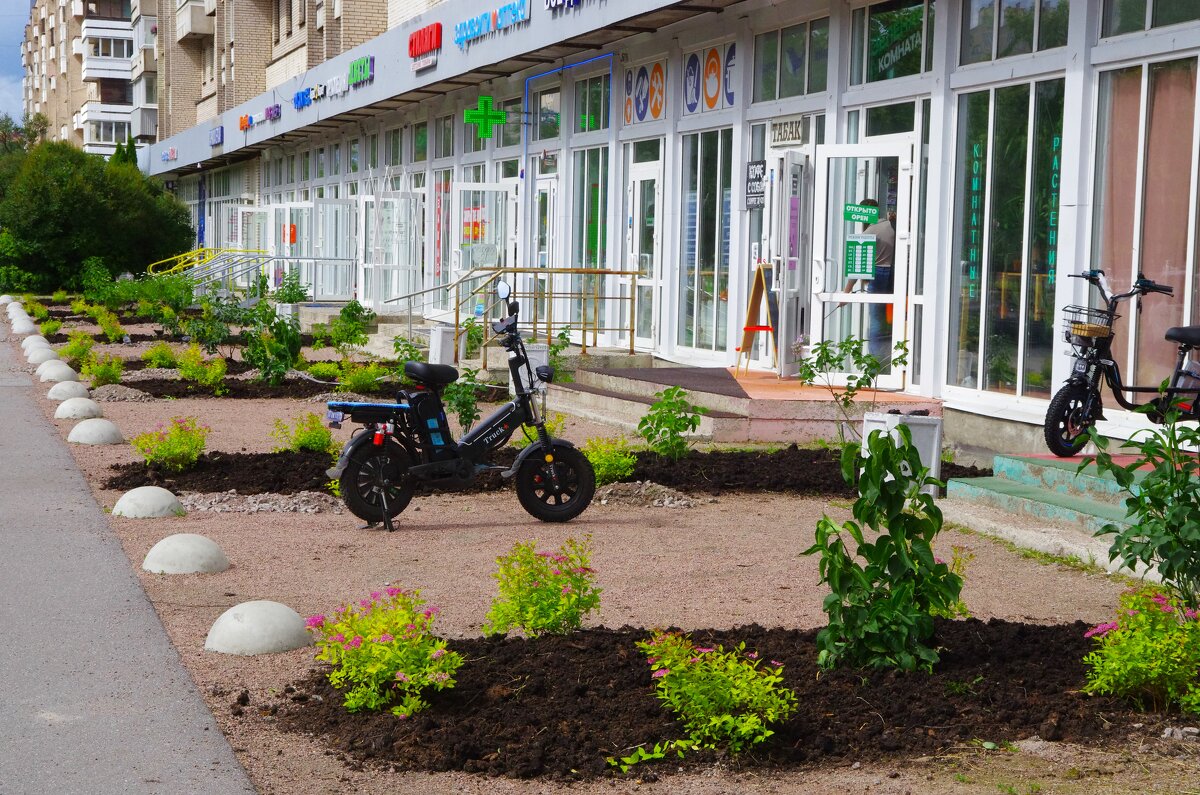 "Красота - лучше воровства !" - Юрий Куликов