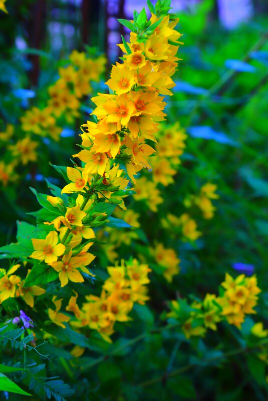 ... - Владимир иванов