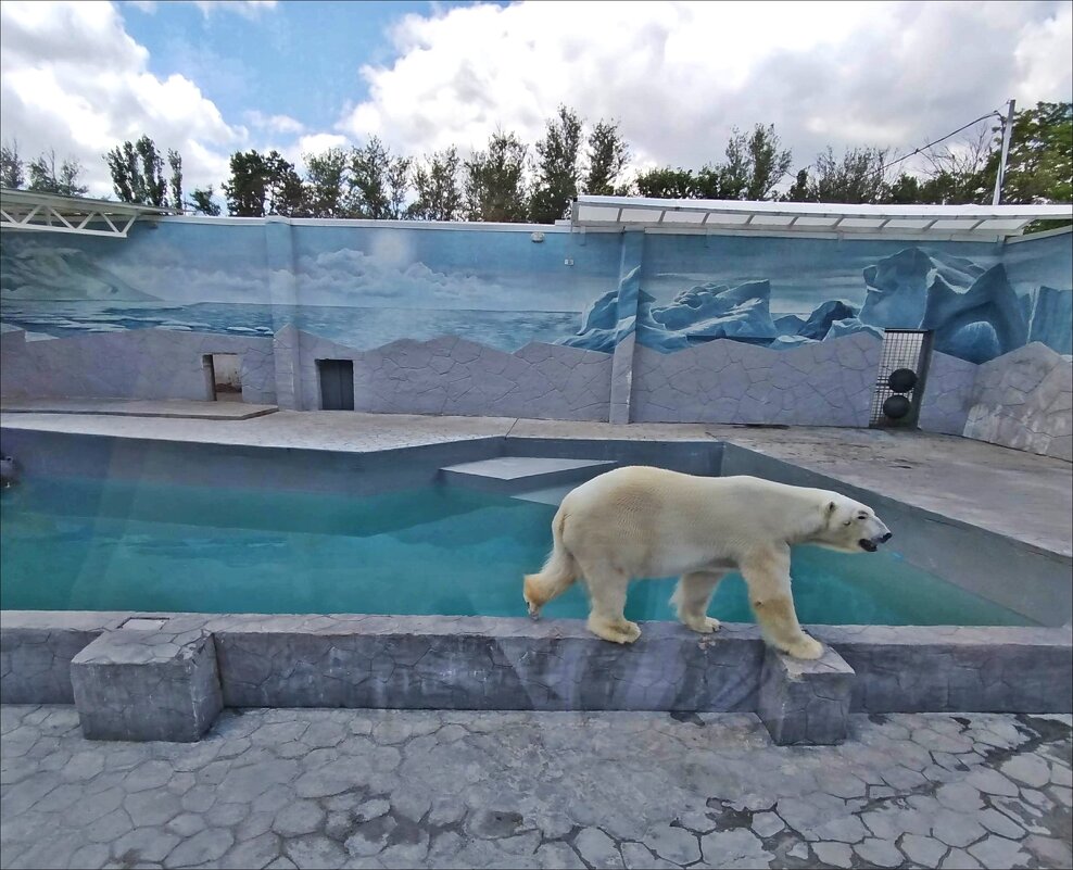 В зоопарке! - Надежда 