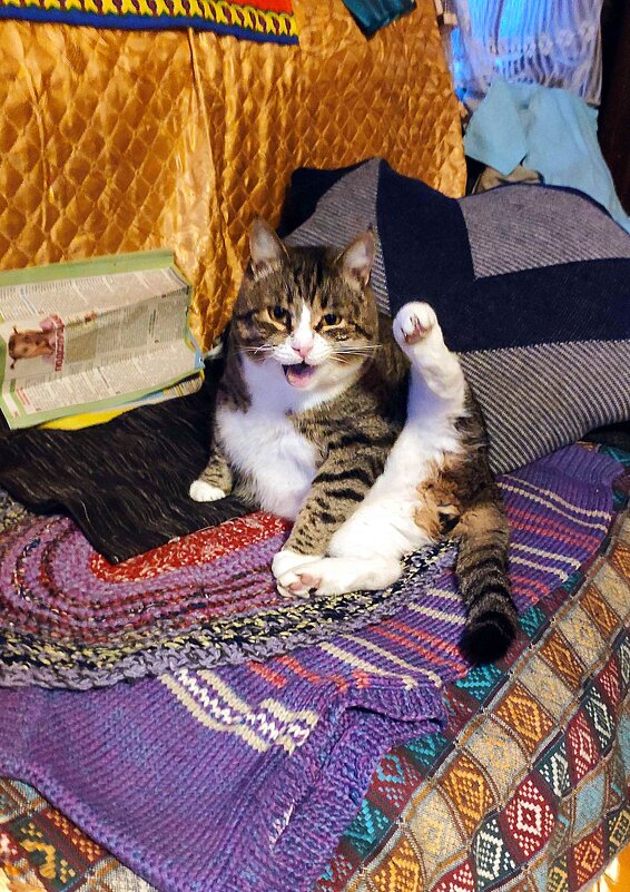 хозяйка ,ты ещё ругаешься,,? - Любовь 