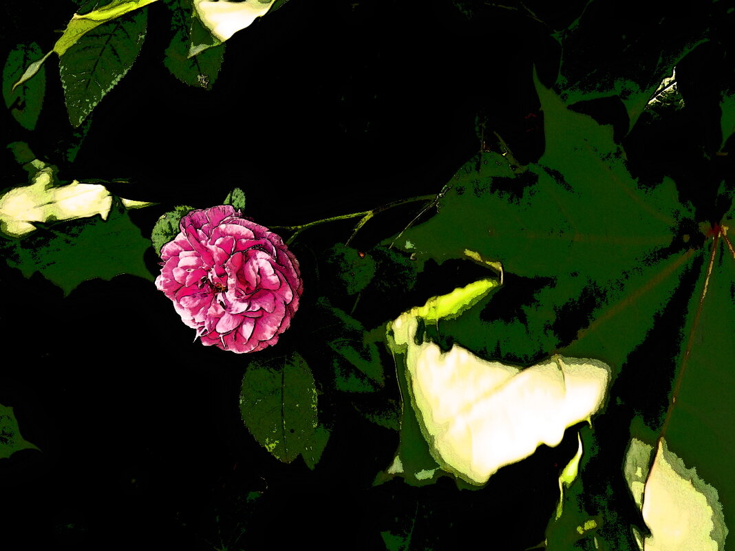 Летние этюды 55 - Алексей Кузнецов