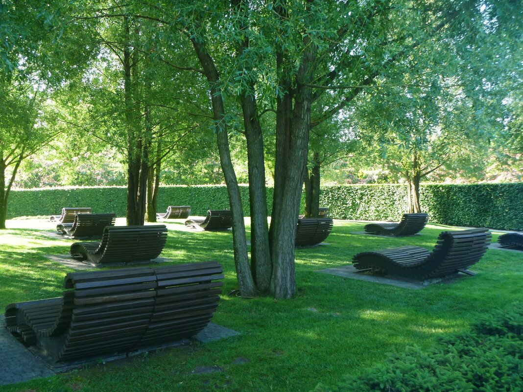 Раннее утро - Владимир Жуков Раннее утро - Владимир Жуков