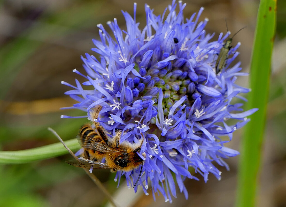 в последний день июня 18 - Александр Прокудин