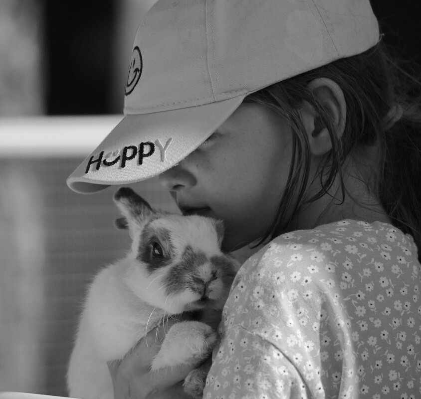 Девочка и кролик... - Владилен Панченко