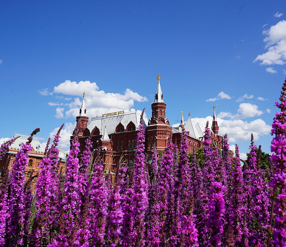 Сады на Манежной - Татьяна Тюменка