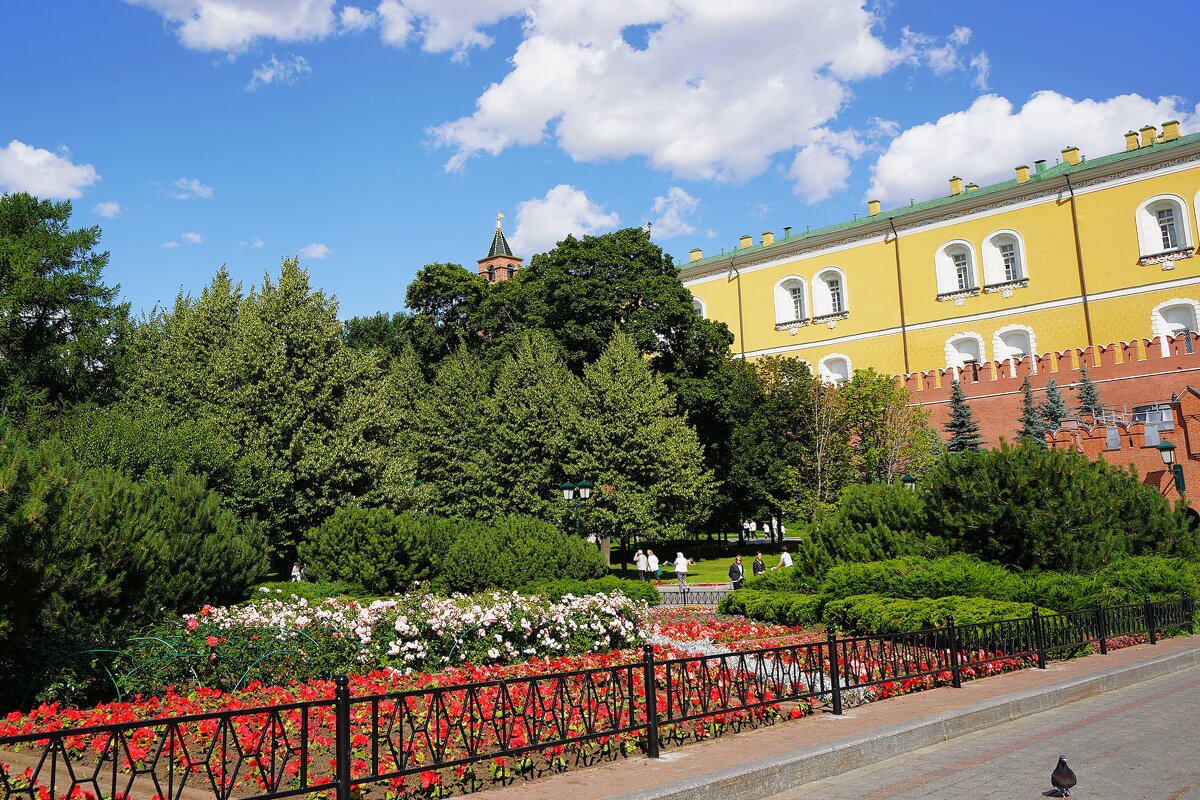 Александровский сад - Татьяна Тюменка