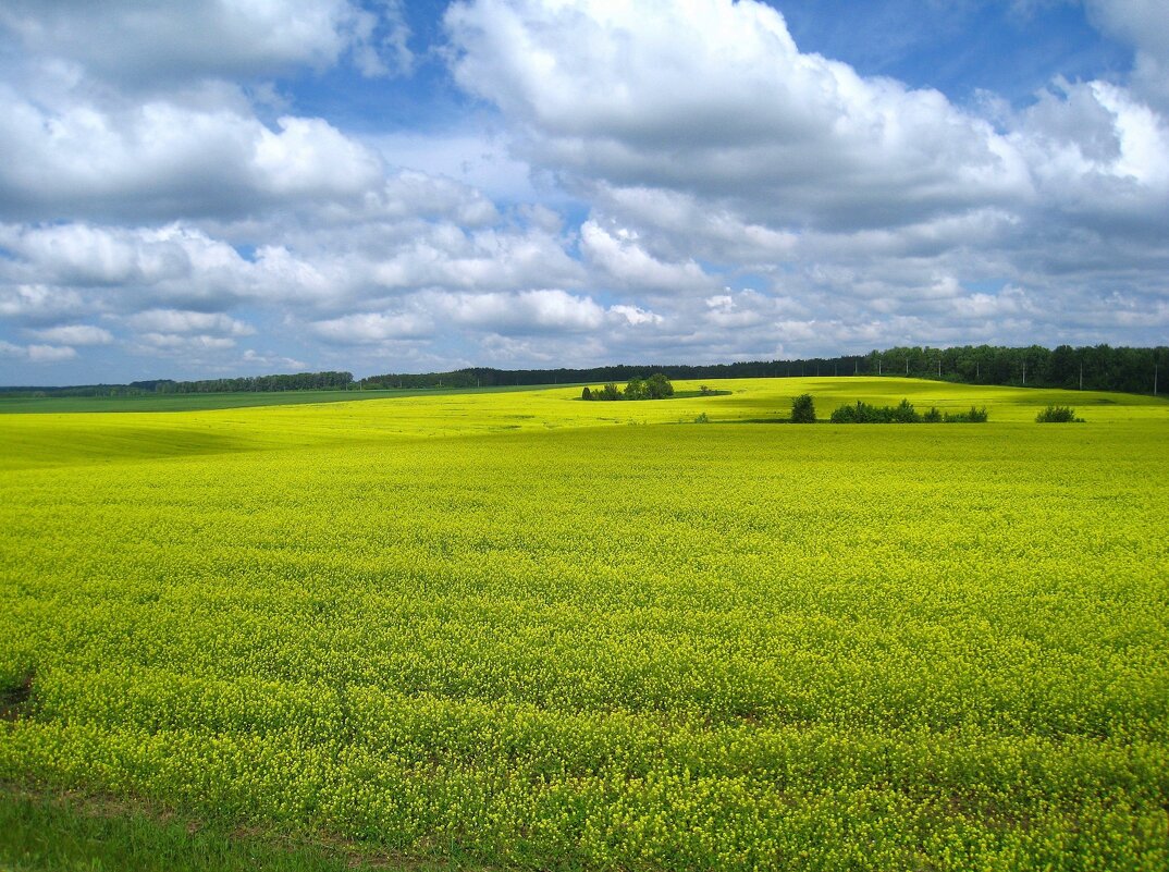 Кусочек Чувашии. - unix (Илья Утропов)