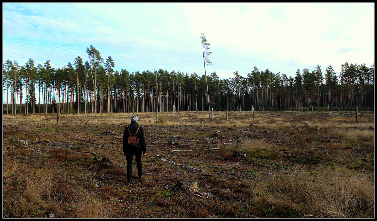 ...просто бизнес - Aleksandr Gal
