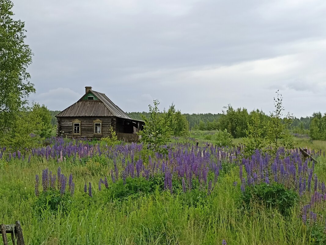 Заброшенная деревенька - Pippa 