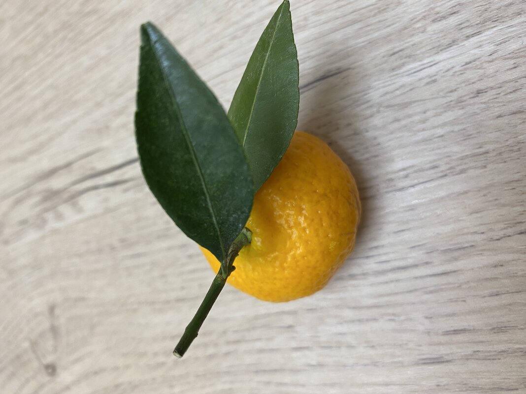 Все просто - Натали 