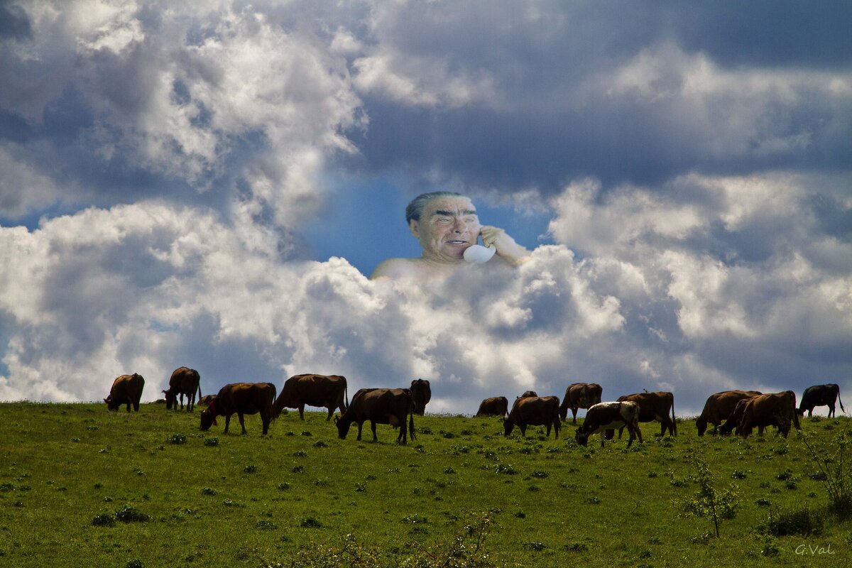 Повысить надои!!! - Геннадий Валеев Повысить надои!!! - Геннадий Валеев