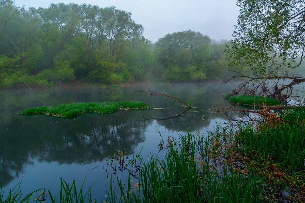 * - Виталий Емельянов