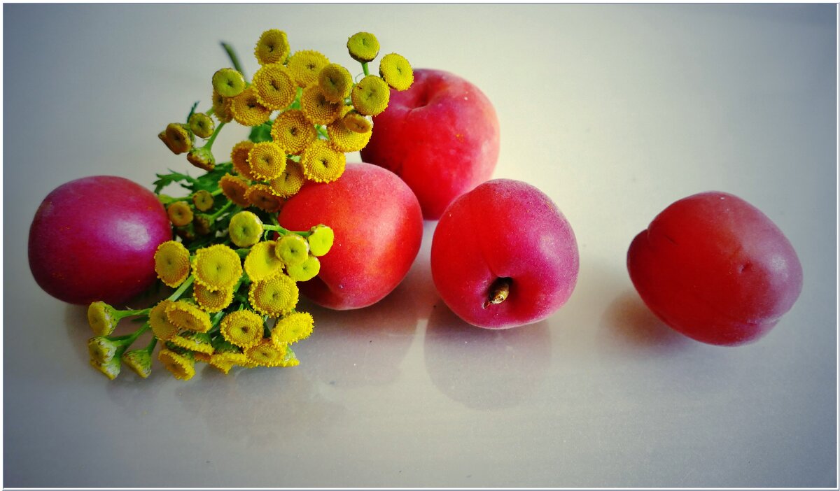 АБРИКОСЫ... - Elvira E. 