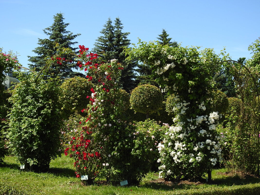 французский парк в Рундале - ИННА ПОРОХОВА французский парк в Рундале - ИННА ПОРОХОВА