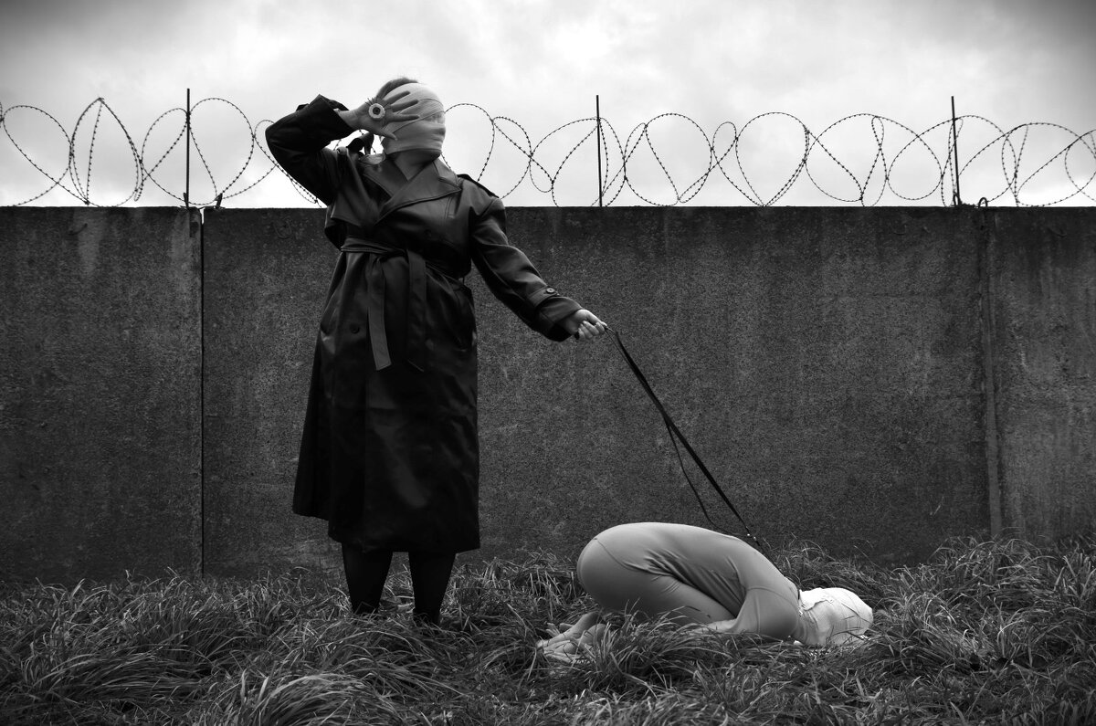 * - Нина Зорич