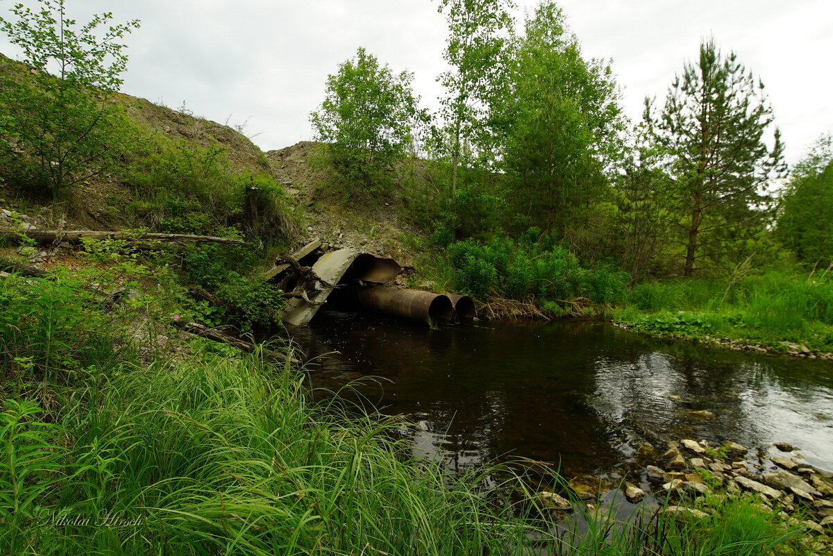 *** - Николай Гирш