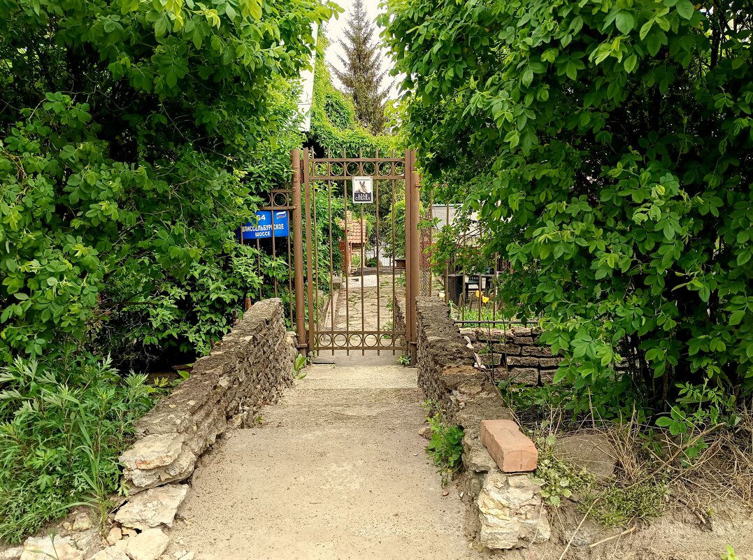 Осторожно, злая собака! - Мария Васильева