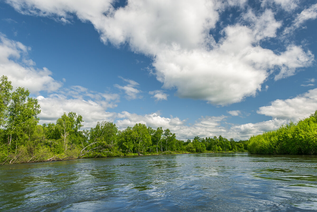 ... - Жора Житников