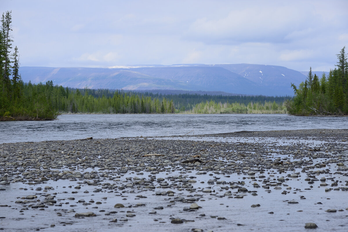 *** - Александр Хаецкий