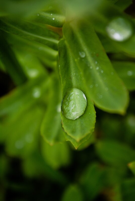 Захотелось запечатлеть - Анастасия Логинова Захотелось запечатлеть - Анастасия Логинова