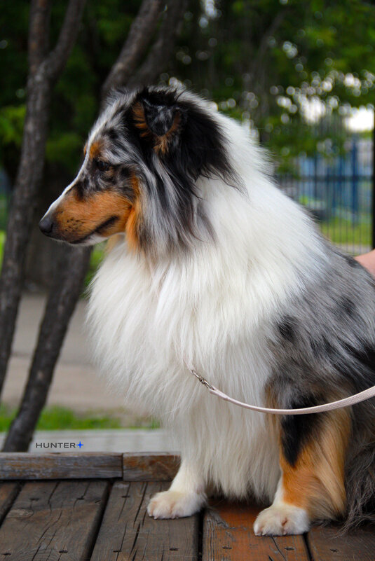 Каспер - Полина Лопатина (Hunter)