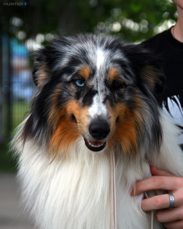 Каспер - Полина Лопатина (Hunter)