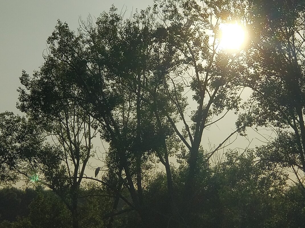 На Иртыше - Андрей Хлопонин На Иртыше - Андрей Хлопонин