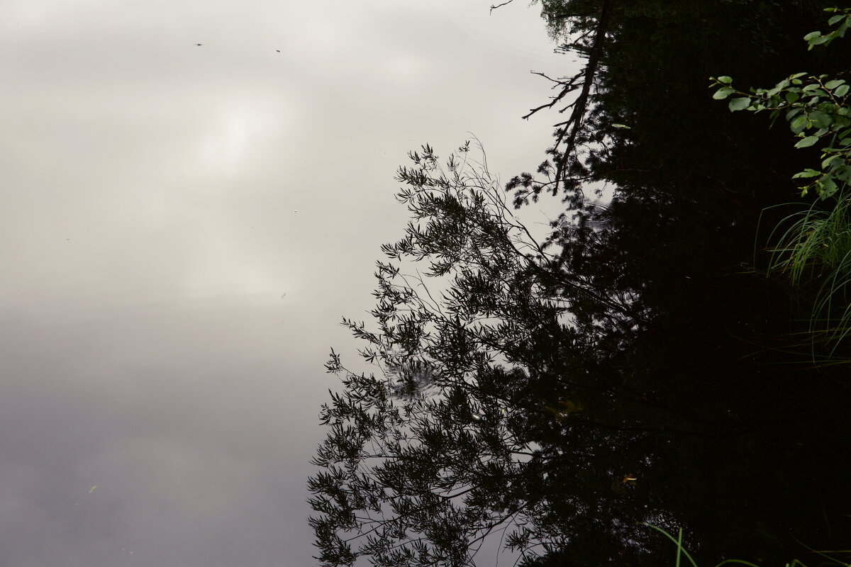 Назва. отсу. - Денис Безногов