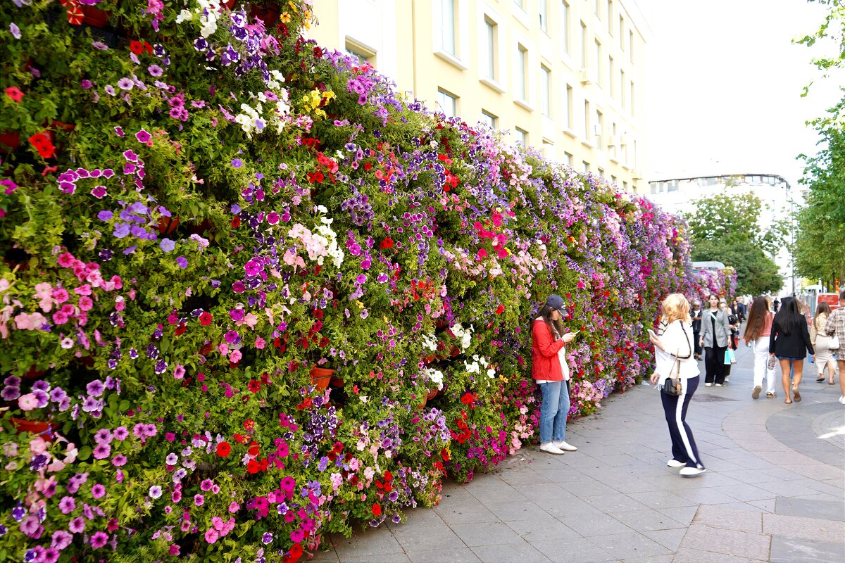 На Страстном бульваре в выходной - Татьяна Тюменка