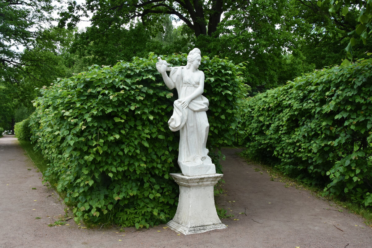 Москва. Усадьба Кусково. - Наташа *****