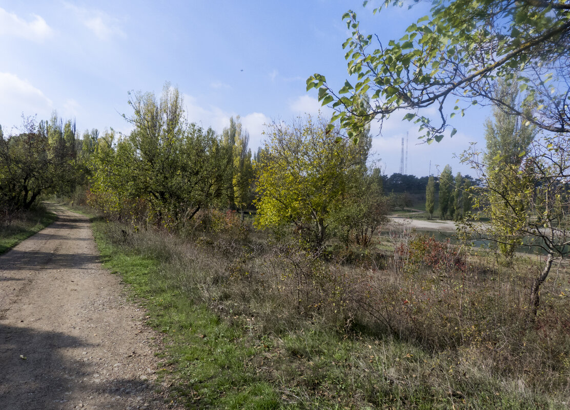 По просёлочной дороге шёл я молча - Валентин Семчишин