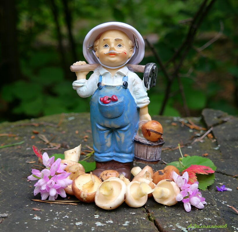 Летние мотивы... - Андрей Заломленков