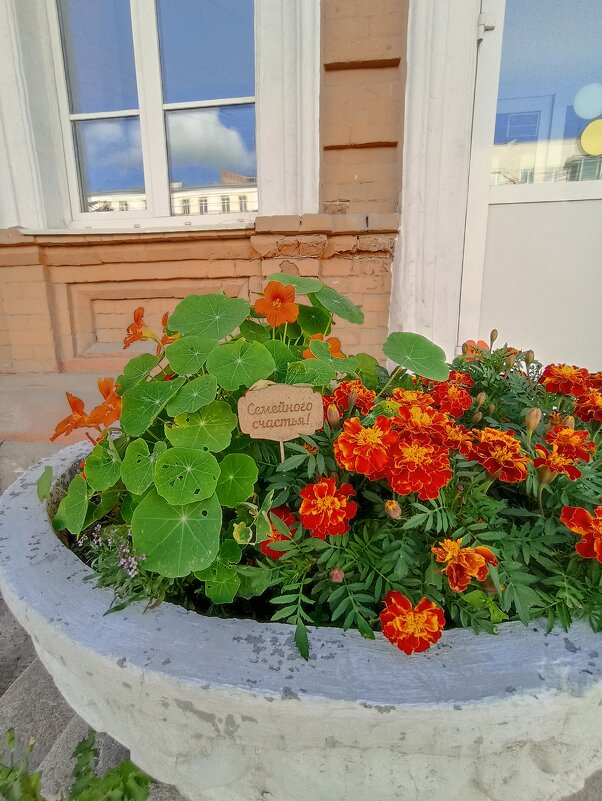 Гуляя по Екатеринбургу - Pippa Гуляя по Екатеринбургу - Pippa