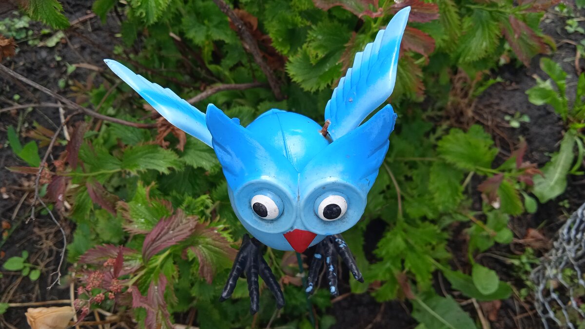 дачное - Елена Шаламова