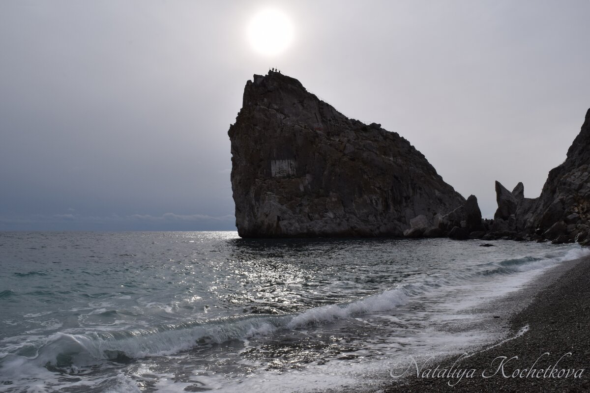 Природа Крыма - Amazing Cosmea