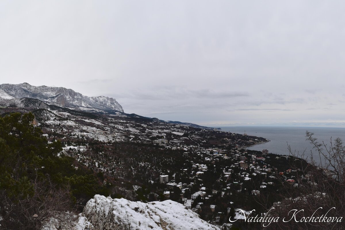 Природа Крыма - Amazing Cosmea