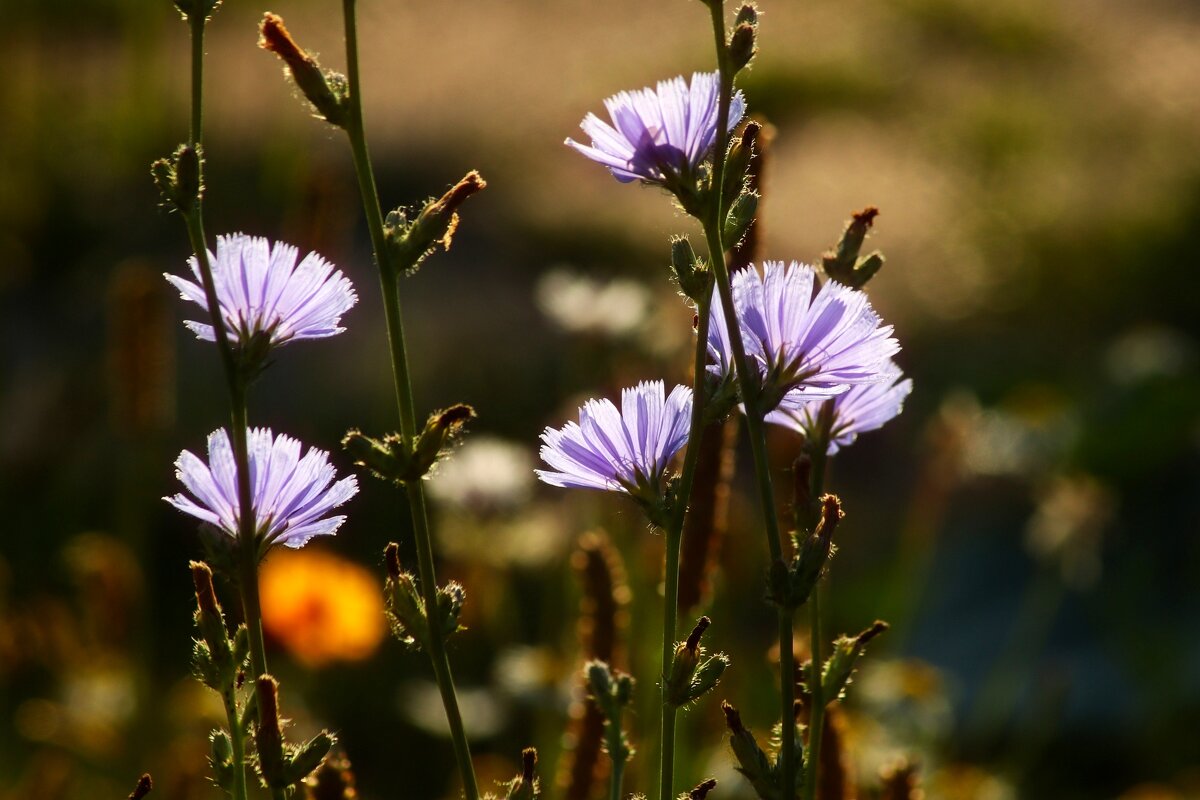 Доброе утро - Юрий. Шмаков